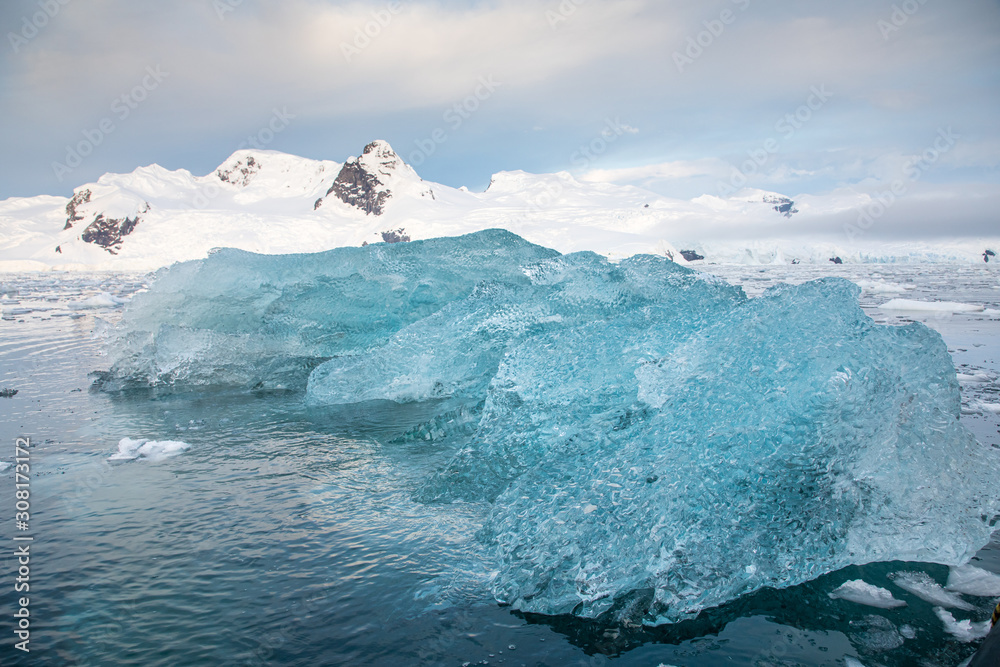 Fototapeta Wspaniała niebieska góra lodowa unosząca się na wodach Antarktydy