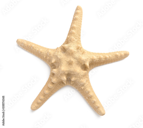 Tropical starfish on white background