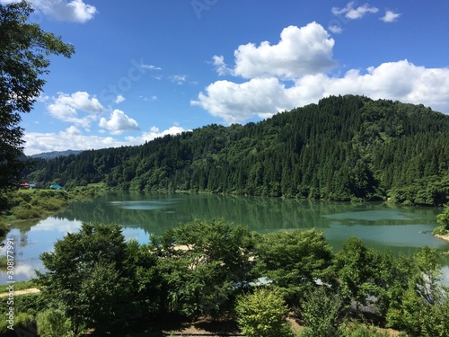 Fototapeta Naklejka Na Ścianę i Meble -  Summer view of Lake