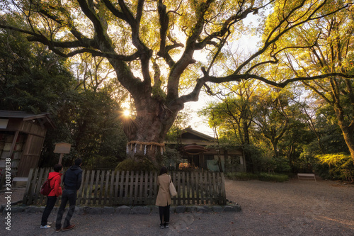 People sacred tree at Atsuta Jingu shrine, Nagoya