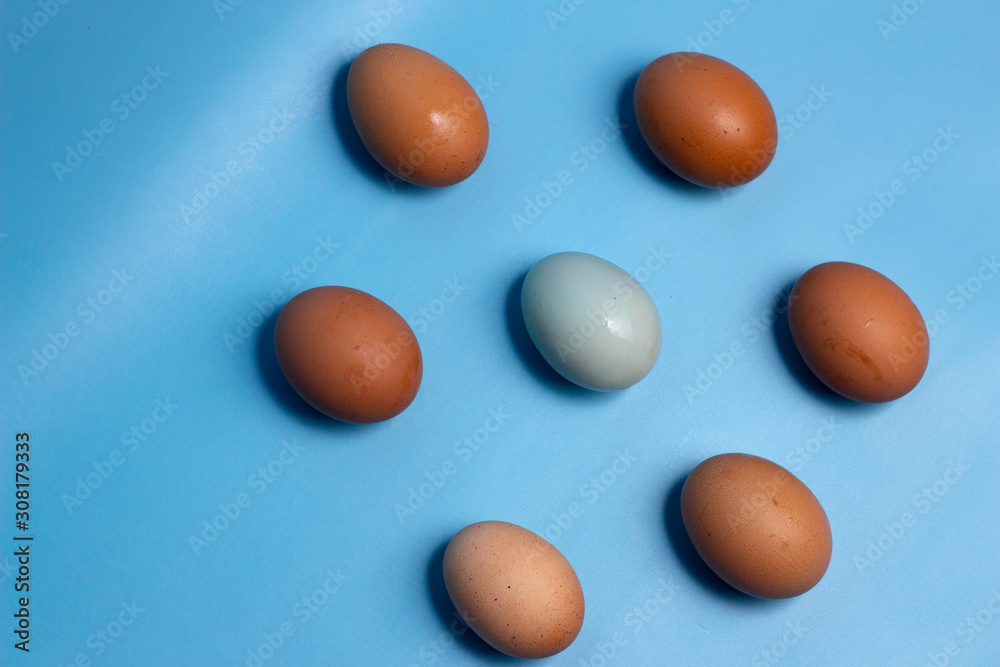 eggs isolated on blue background, copy space eggs isolated on blue background, copy space