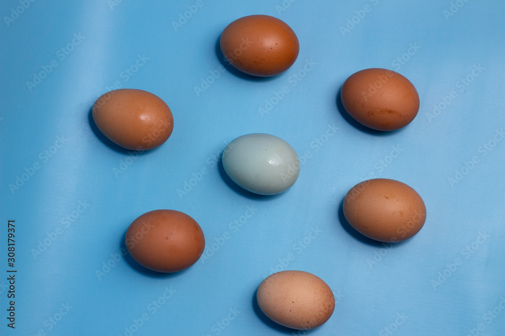 eggs isolated on blue background, copy space eggs isolated on blue background, copy space