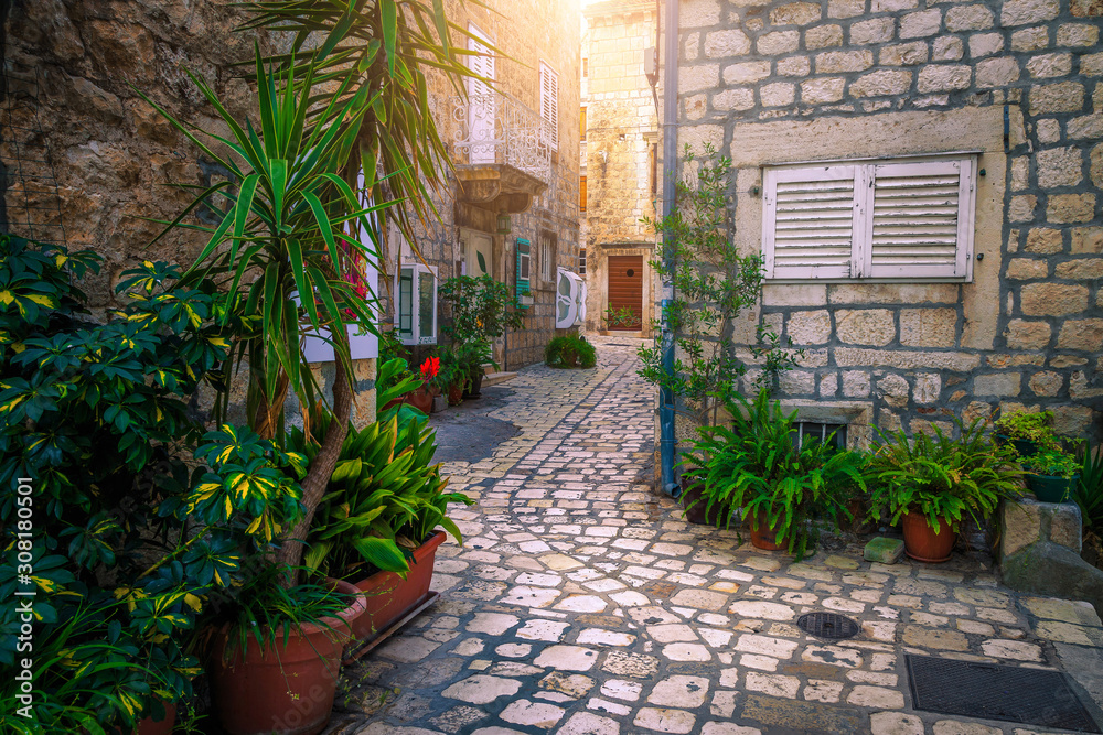 Town of Hvar and old stone houses with paved alley Town of Hvar and old stone houses with paved alley