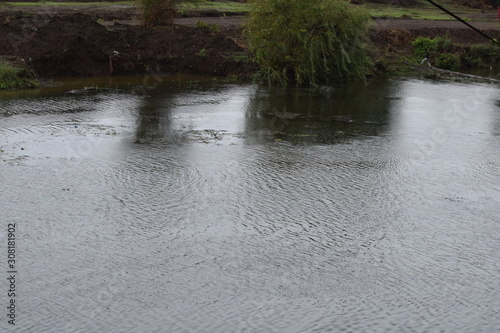 Artificial Lake at Nashik