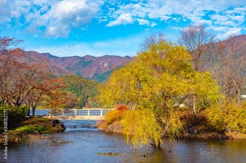 Fototapeta Naklejka Na Ścianę i Meble -  Kawaguchiko Lake. Japan. Yazaki Park. National Park near Lake Kawaguchiko. Bridge over the strait. Scenery of the city of Fujikawaguchiko. Excursion to five lakes of fuji. Nature. Travel to Japan