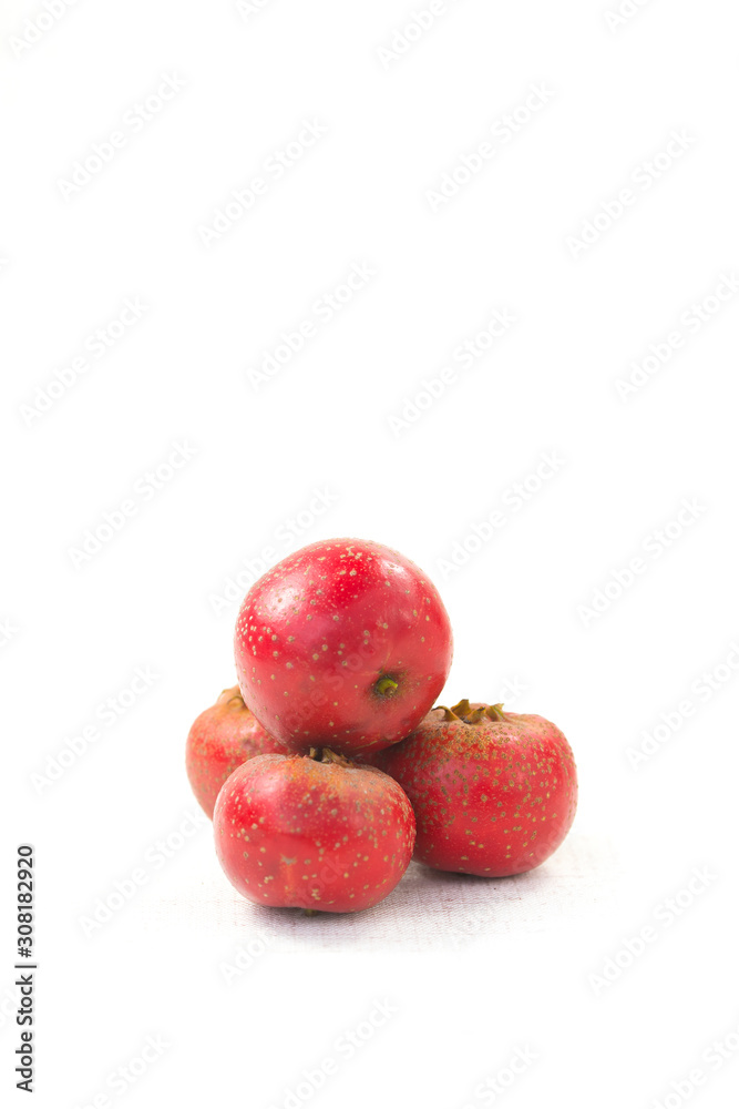The hawthorn stands alone on a white background The hawthorn stands alone on a white background