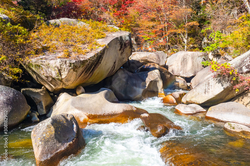 Kofu. Japan. Autumn canyon....