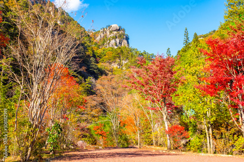 Kofu. Japan Autumn canyon. ...