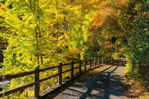 Kofu. Japan. Autumn canyon....