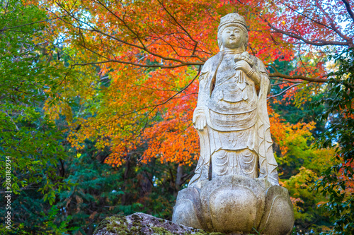 Kofu. Japan. Autumn canyon....