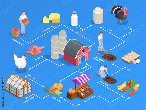 Local Farm Isometric Flowchart