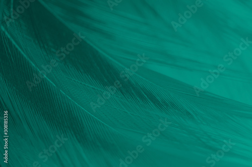 Beautiful dark green viridian vintage color trends feather texture background