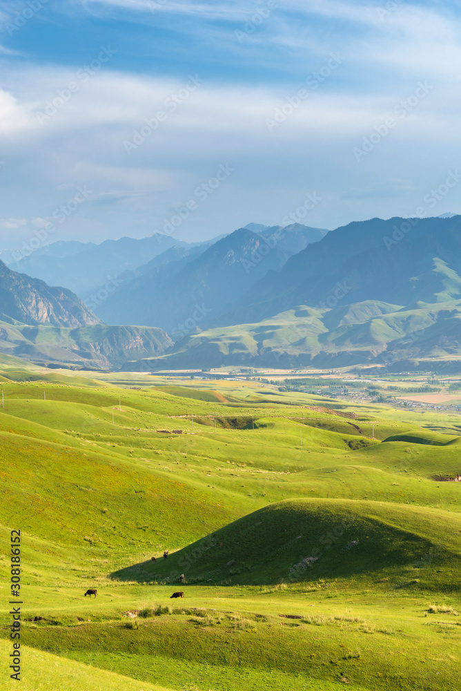 Green alpine meadow in mountain ranges with blue sky