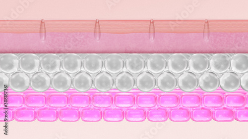 The skin structure layer
