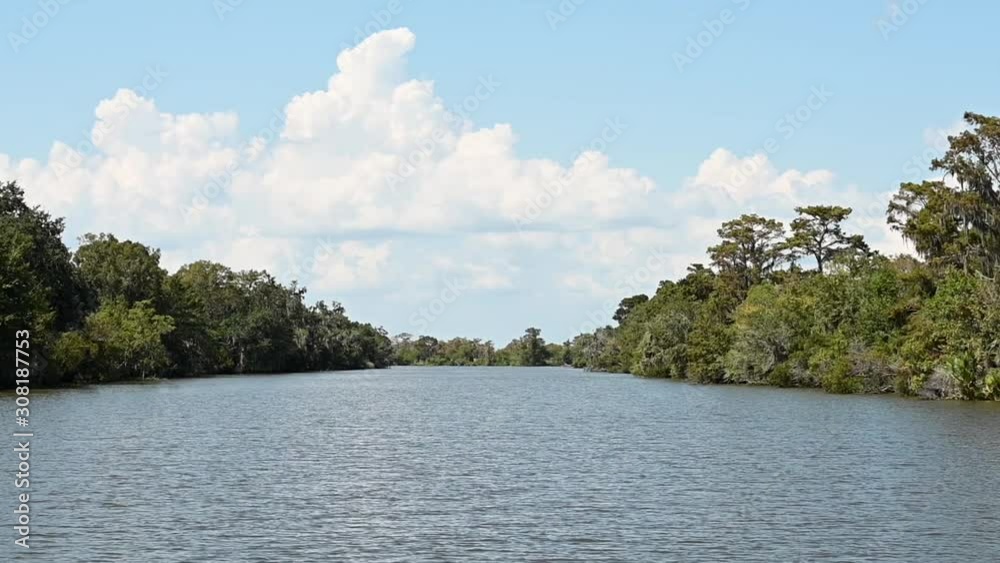 Boat tour through the Louisiana swamps around New Orleans. Hot sunny day. Boat tour through the Louisiana swamps around New Orleans. Hot sunny day.