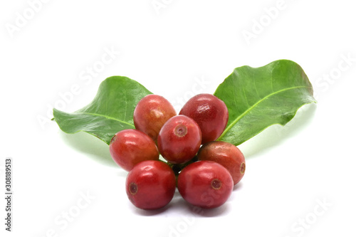 Coffee berries red and leaves coffee on white background.