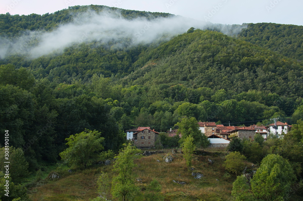 Landscape at village Pido near Espinama in Cantabria,Spain,Europe