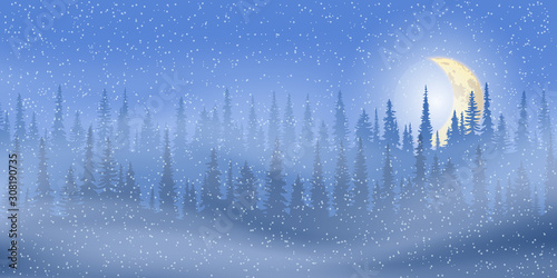 Fantasy on the theme of the winter landscape. Night, moon and forest. Vector illustration, EPS10