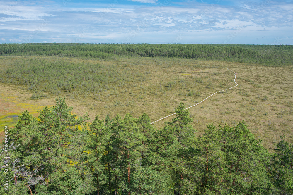 Chemin de randonnée en planches de bois, traversant forêt et tourbière, dans le parc national de Lahemaa, Estonie.