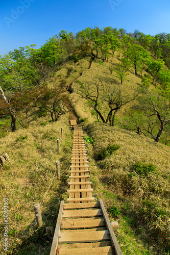 蛭ヶ岳、丹沢山、塔ノ岳 57