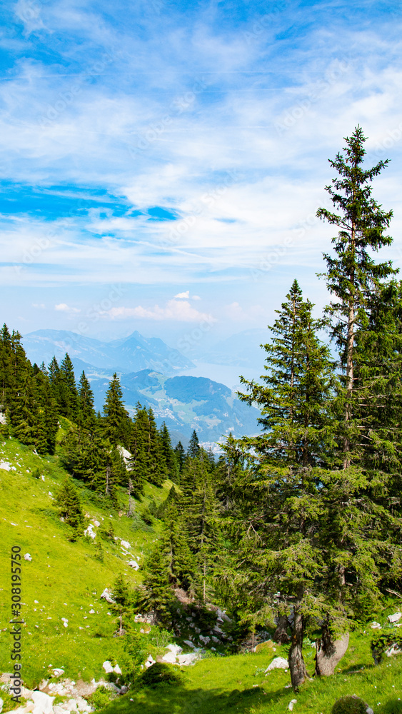 view of beautiful landscape in the Alps with fresh green meadows and  trees of forest at mountain sunny day with blue sky and clouds in springtime.