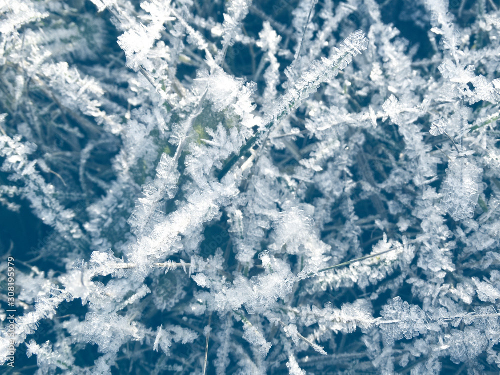 Fototapeta premium winter background with snowflakes crystals patterns and snow on frozen grass