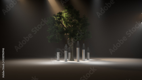 Trees in the dark