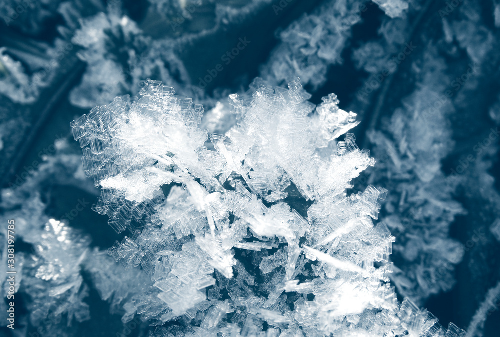 Fototapeta premium winter background with snowflakes crystals patterns and snow on frozen grass