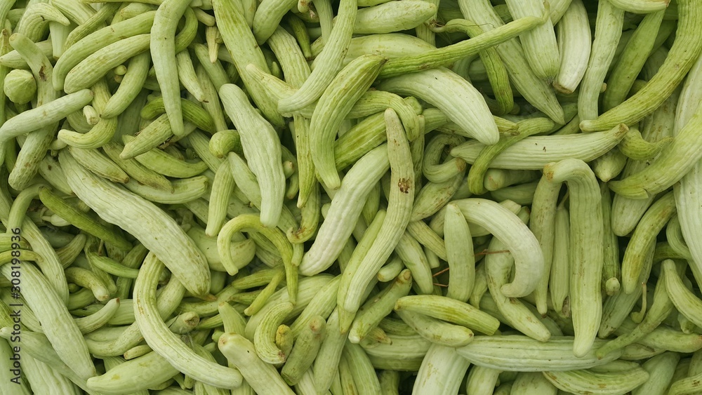 cucumber sales in the market cucumber sales in the market