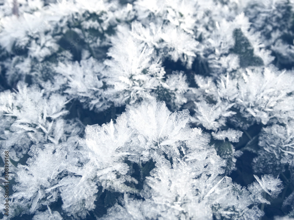 winter background with snowflakes crystals patterns and snow on frozen grass winter background with snowflakes crystals patterns and snow on frozen grass