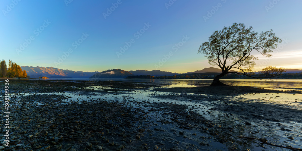 Panoramic image of The famous lone tree of lake Wanaka is located at the foothills of Mount Aspiring National Park, a World Heritage Site, in twilight, Wanaka , South Island of New Zealand
