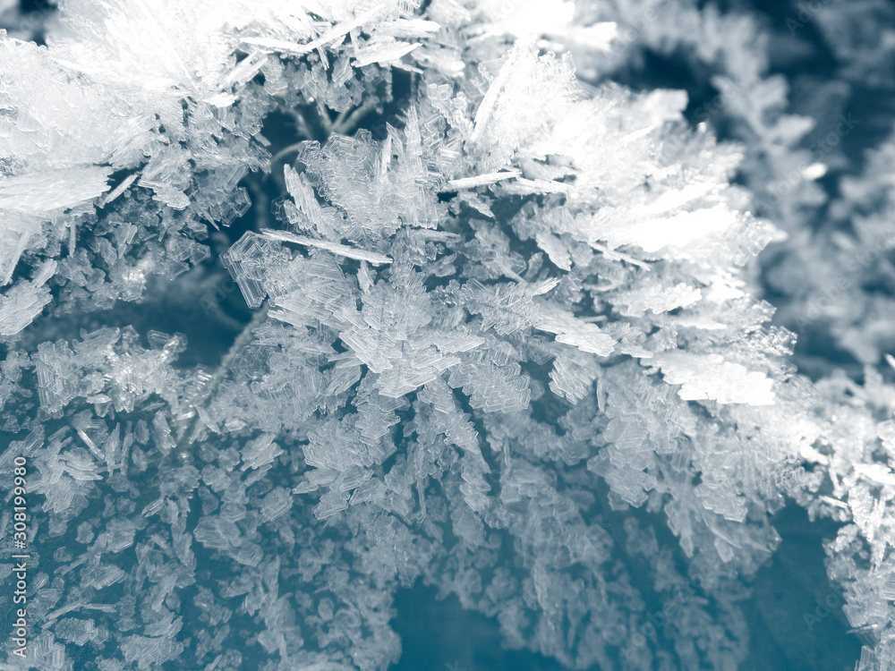 Fototapeta premium winter background with snowflakes crystals patterns and snow on frozen grass