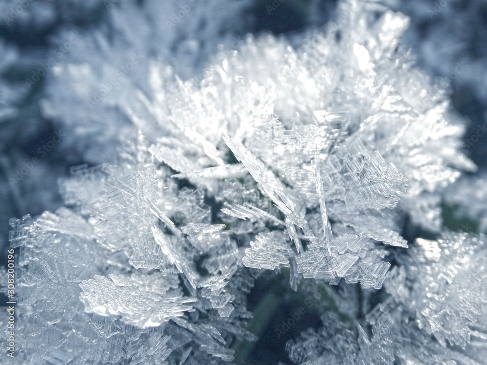 winter background with snowflakes crystals patterns and snow on frozen grass winter background with snowflakes crystals patterns and snow on frozen grass