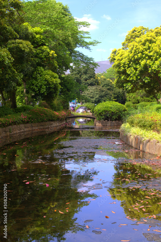 bridge in park on a summers day reflected in water