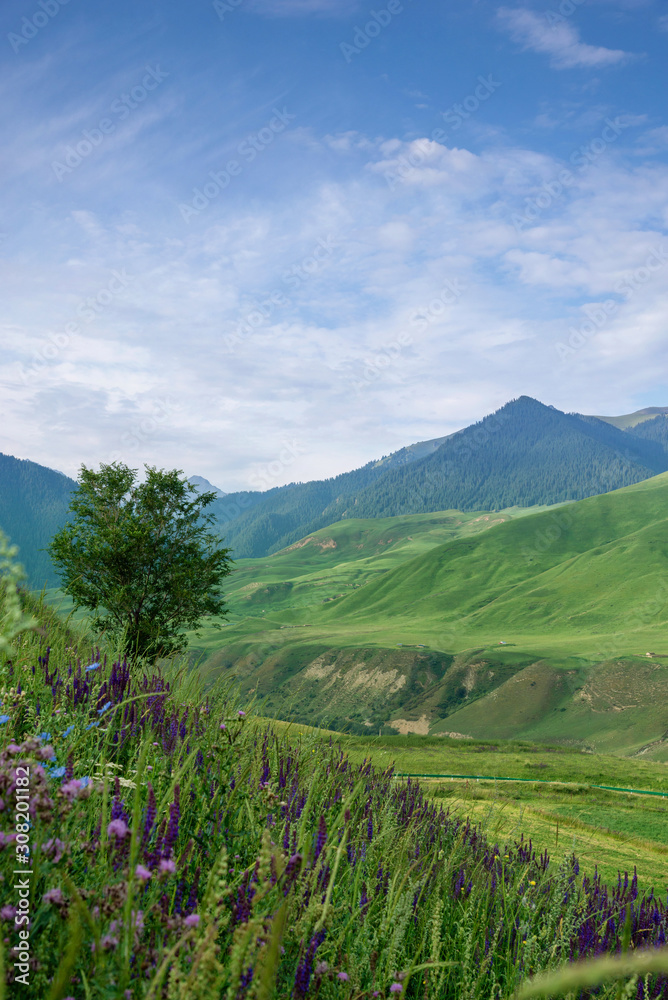 Natural scenery of green alpine meadows in mountain ranges with blue sky
