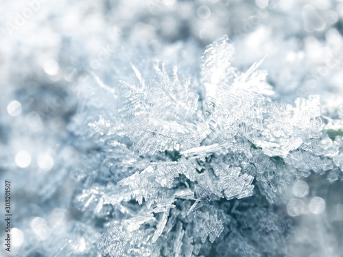 winter background with snowflakes crystals patterns and snow on frozen grass © Anastasia Tsarskaya
