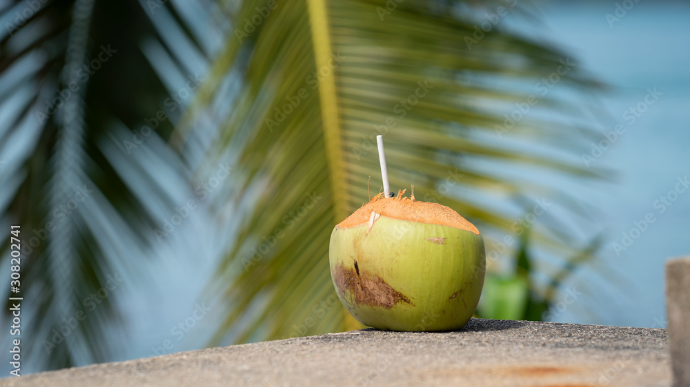 Kokusnuss mit Strohhalm und Palmen im Hintergrund Stock Photo | Adobe Stock