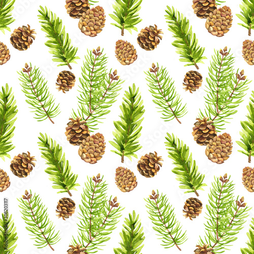 Watercolor hand painted botanical pine branches and cones illustration seamless pattern, wallpaper, wrapping paper