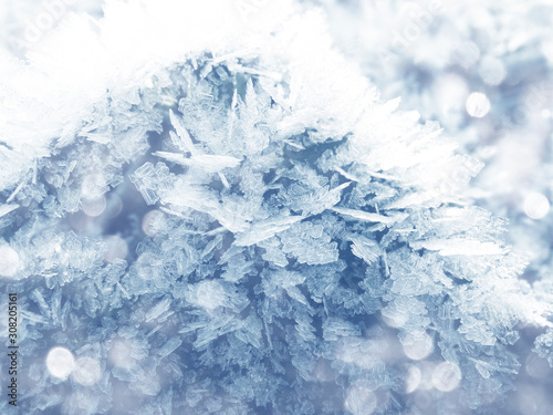 winter background with snowflakes crystals patterns and snow on frozen grass © Anastasia Tsarskaya