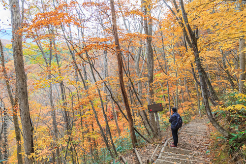 Colorful autumn landscape in urabandai mountain, Fukushima, Japan. photo