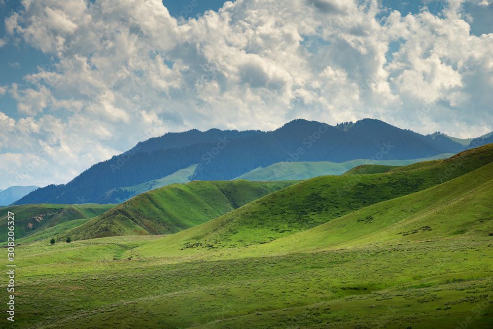Mountain nature landscape of grassy green meadow on blue sky background