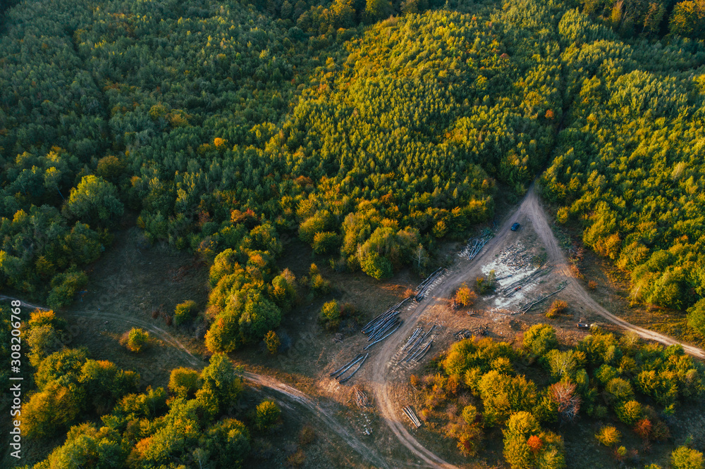 Drone images of illegal logging in the woods. 