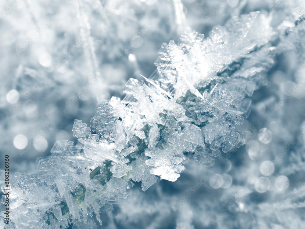 winter background with snowflakes crystals patterns and snow on frozen grass winter background with snowflakes crystals patterns and snow on frozen grass