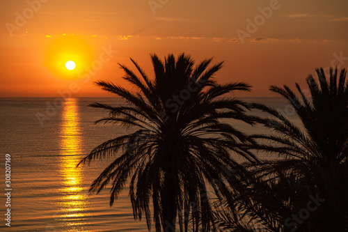 Beautiful amazing peaceful early morning at tropical beach. Golden sunrise sky, sea water with sunlight reflected in water and silhouettes of green palms growing at tropical beach. Color photography.
