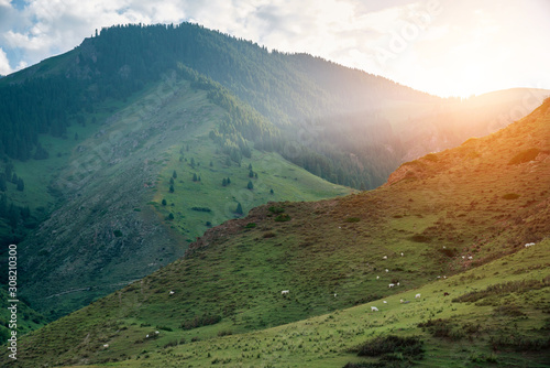 Majestic green mountains landscape during sunrise