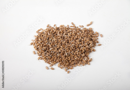 Sprout of wheat in clay bowl Isolated on white background