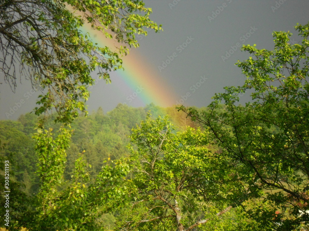 Obraz premium Regenbogen