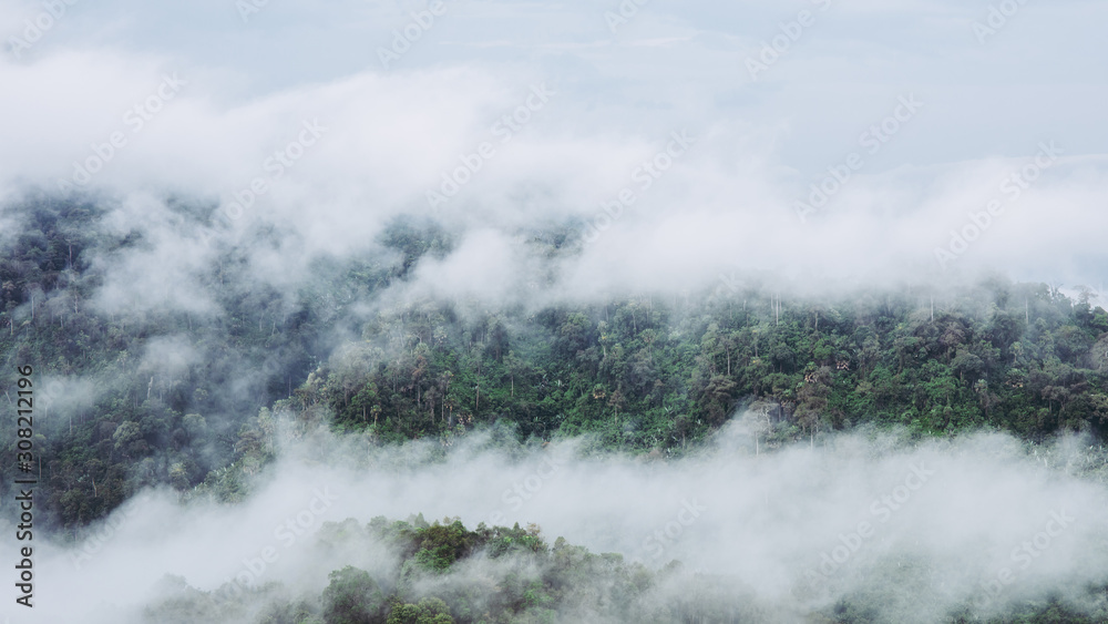 Mountain forest with white clouds or fog at morning time at 