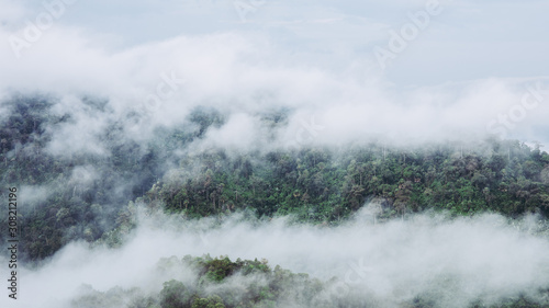 Mountain forest with white clouds or fog at morning time at "LerGuaDa" Tak province, Thailand, Asia.