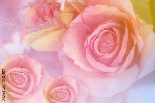 Colorful pink roses in soft color and blur style for background  beautiful artificial flowers